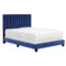 JEDD - 54'' BED - BLUE