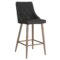 Antoine 26" Counter Stool, set of 2, in Black