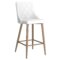 Antoine 26" Counter Stool, set of 2, in White